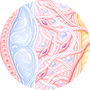 원더필 시술방법 이미지